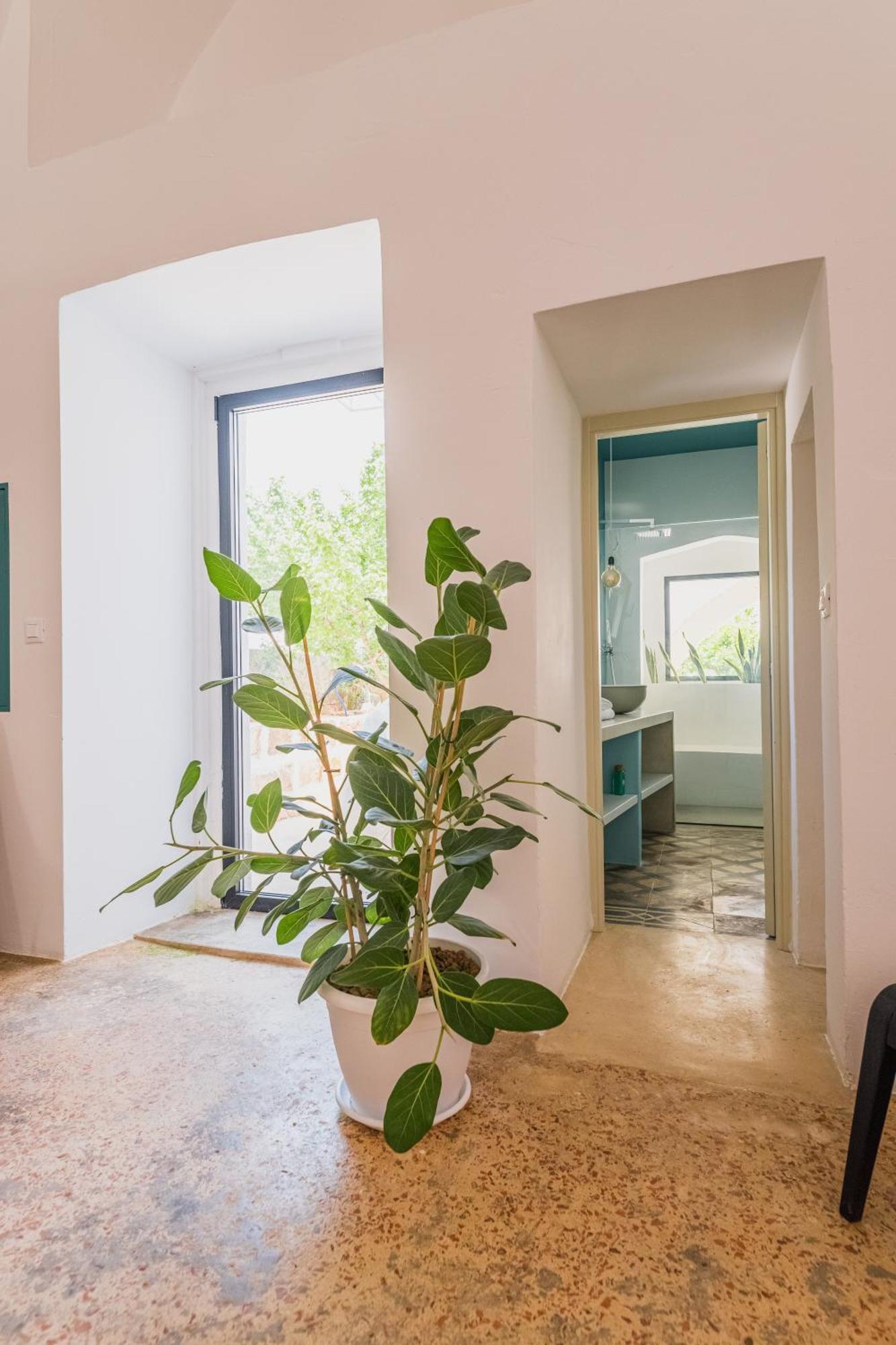 Villa Casa Delle Rondini à Presicce Extérieur photo